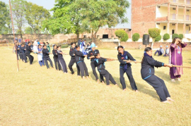 Click here to Enlarge