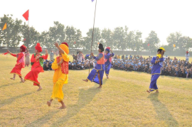 Click here to Enlarge