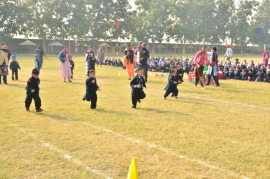 Click here to Enlarge