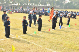 Click here to Enlarge