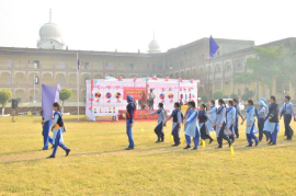 Click here to Enlarge