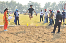 Click here to Enlarge